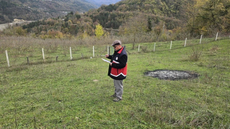 Çatalzeytin'de Ürün Beyan Doğrulama Çalışmaları Sürüyor