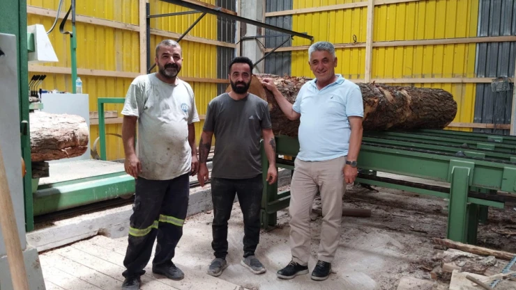 Çatalzeytin'den istihdam adımı