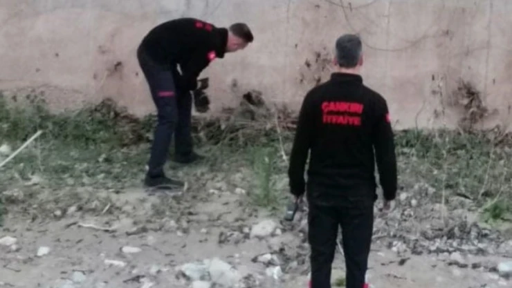 Çaya Düşen Yavru Köpek Kurtarıldı