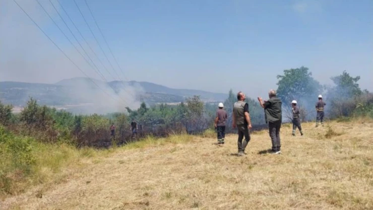Çaycuma'da Çıkan Orman Yangını Korkuttu