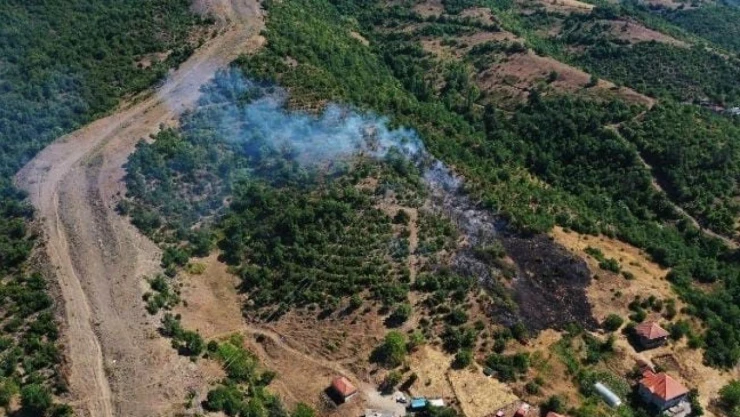 Çayır Köyünde Orman Yangını Korkuttu