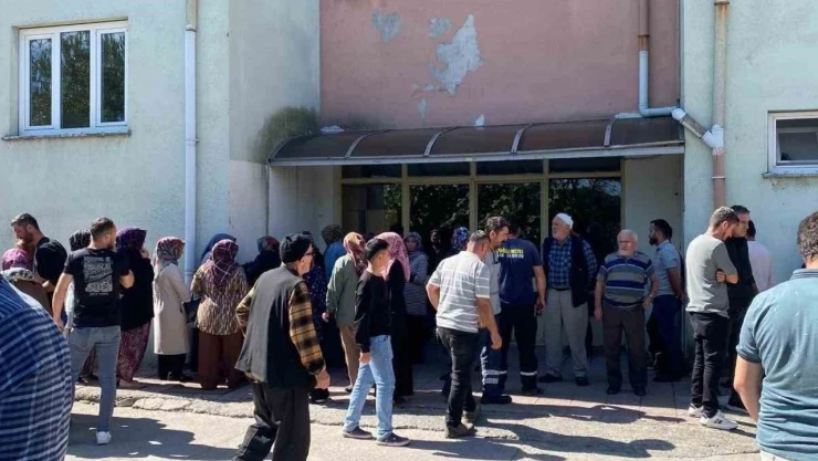 Ceviz Toplarken Elektrik Akımına Kapıldı, Hayatını Kaybetti