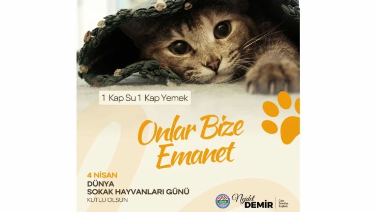 Cide Belediyesi'nden Sokak Hayvanlarına Duyarlılık Çağrısı