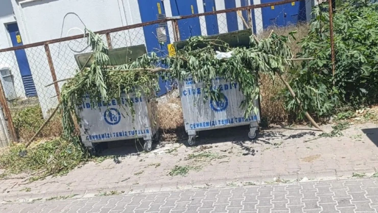 Cide Belediyesi'nden Temizlik Çağrısı