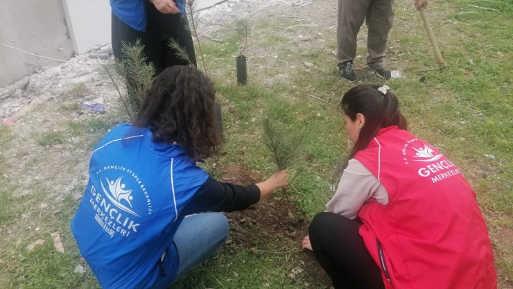 Cide'de Fidan Dikimi Gerçekleştirildi