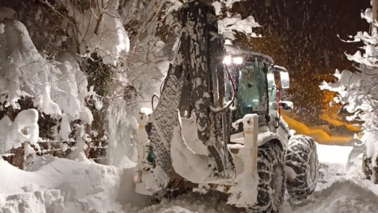 Cide'de Karla Mücadele Sürüyor