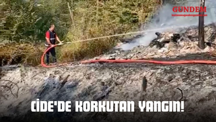 Cide'de Korkutan Yangın!