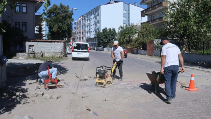 Cide'de parke yapımları sürüyor