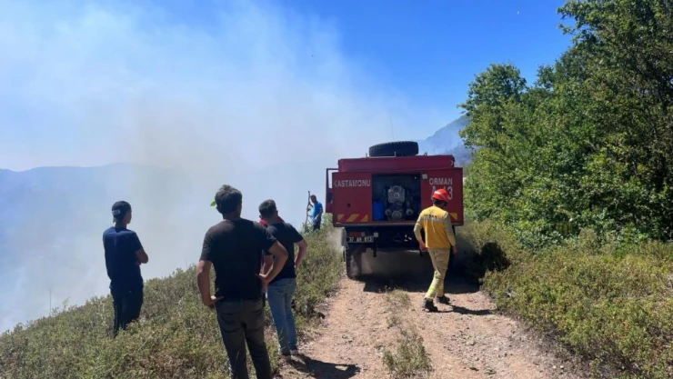 Cide'deki Orman Yangını Söndürüldü