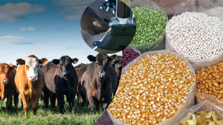 Çiftçi Destekleri Hesaplara Aktarıldı