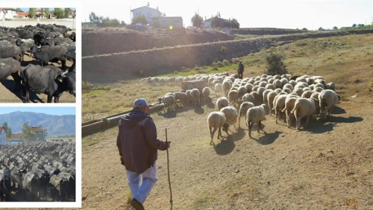 Çiftçilere 445 Milyon Lira Destek Verildi