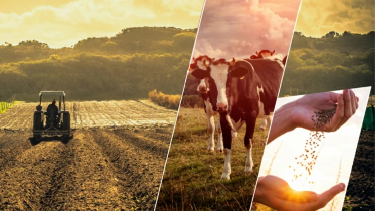 Çiftçilere 63,4 Milyar Tarımsal Destekleme Ödemesi Yapıldı