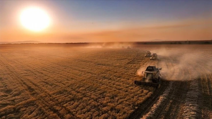 Çiftçilere Tarımsal Destek Ödemeleri Yapıldı