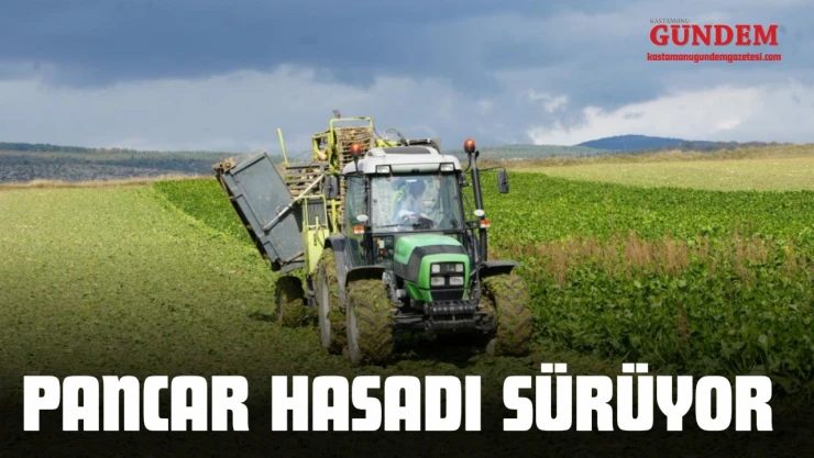Çiftçilerin Zorlu Pancar Mesaisi Devam Ediyor