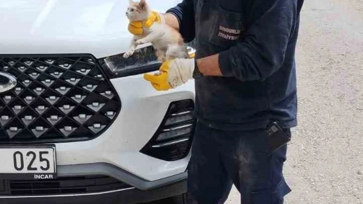 Yavru Kediyi İtfaiye Kurtardı