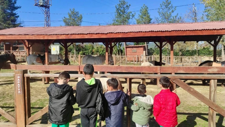 Çocuklar Ara Tatilde Doya Doya Eğlendiler!