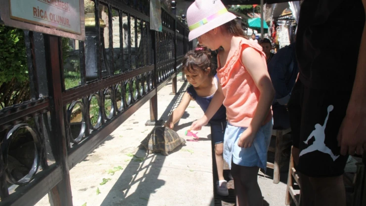 Çocuklar, Bu Sevimli Canlılara Yoğun İlgi Gösteriyor