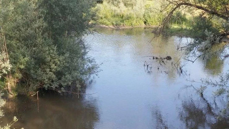 Cörmören Deresi ölüyor