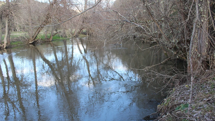 Cörmören sportif balıkçılık için uygun