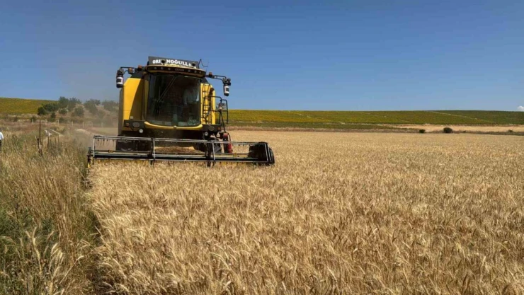 Çorum'da Hasatlar Başladı
