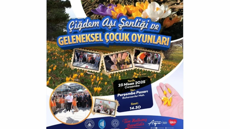 Çorum'da 23 Nisan Coşkusu Çiğdem Aşı Şenliği ile Yaşanacak