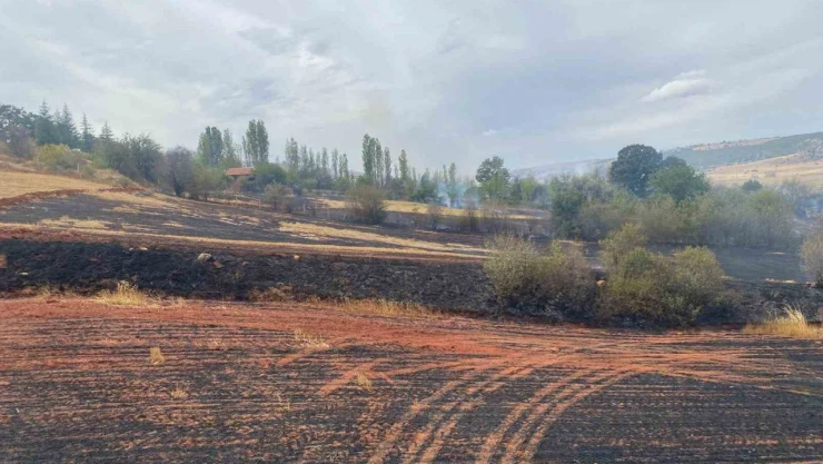 Çorum'da Arazi Yangını