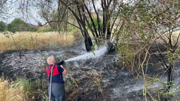 Çorum'da Arazi Yangını