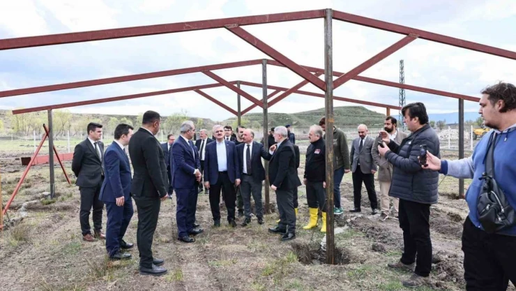 Sokak Hayvanları İçin Mama Üretilecek