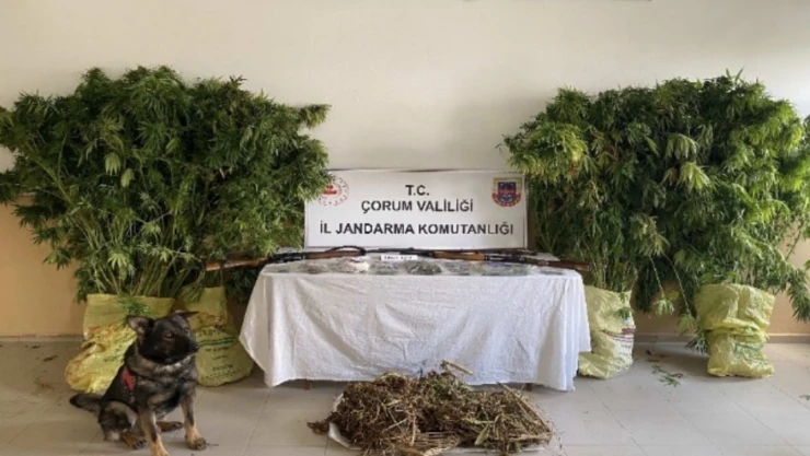 Zehir Tacirlerine Operasyon: 2 Tutuklama