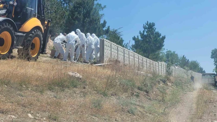 Çorum'da Kene Isırması Sonucu Ölen Adam Toprağa Verildi