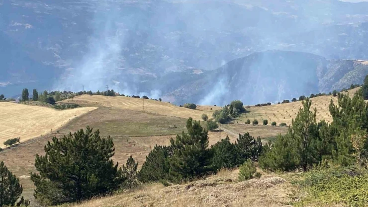 Çorum'da Orman Yangını