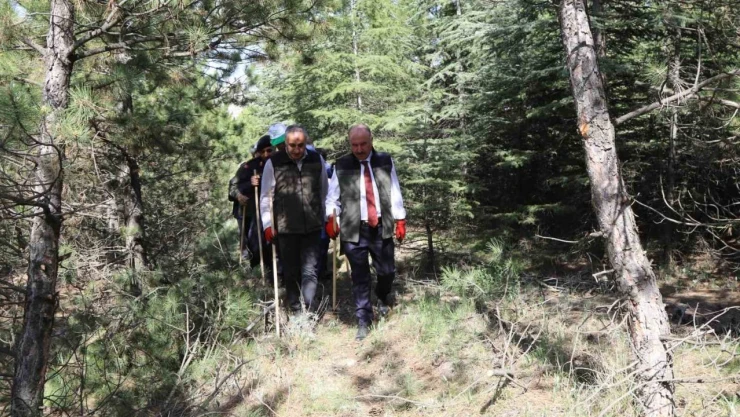 Çorum'da Ormandaki Çöpler İçin Seferber Olundu