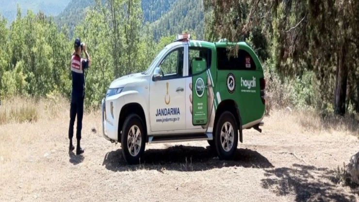 Çorum'da Ormanlık Alanlara Sıkı Denetim