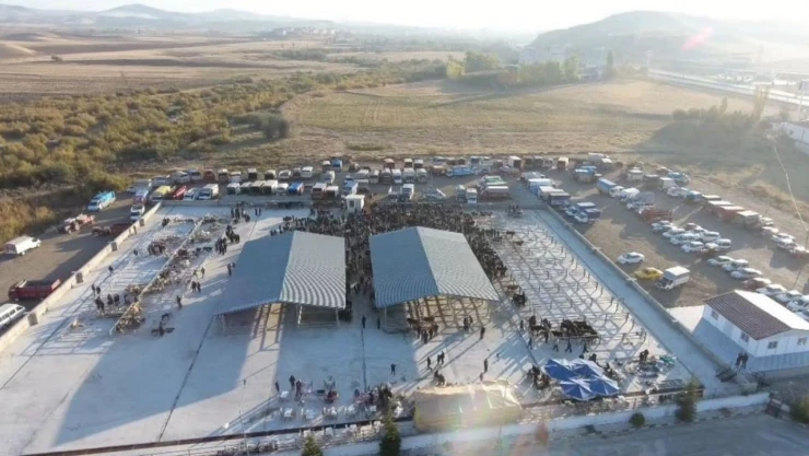 Şap Hastalığı Tespit Edilen Köy Karantinaya Alındı