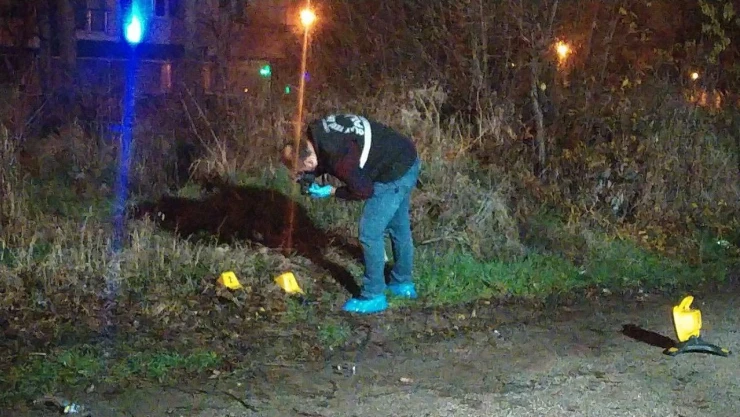 Çorum'da Silahlı Kavga: 1 Yaralı