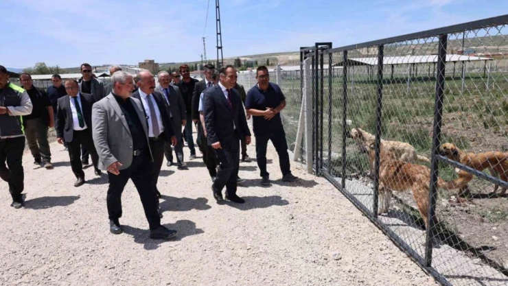 'Doğal Yaşam Alanı'nda Çalışmalar Tamamlandı