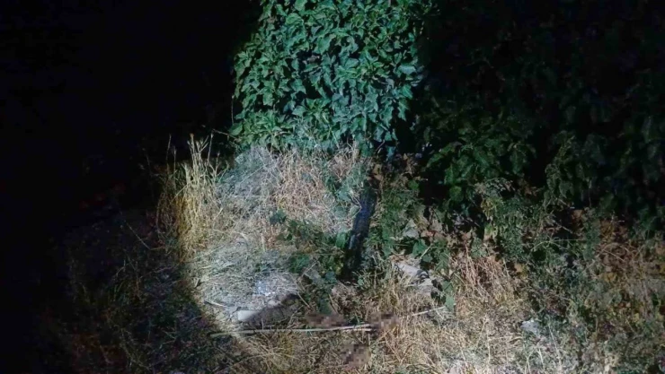 Çorum'da Saldırıya Uğrayan Adam Bacağından Yaralandı