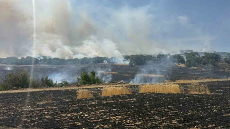 Tarlada Çıkan Yangın Kontrol Altına Alındı