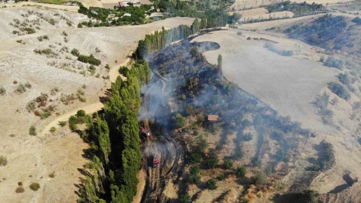 Çorum'da Tarlada Çıkan Yangın Korkuttu