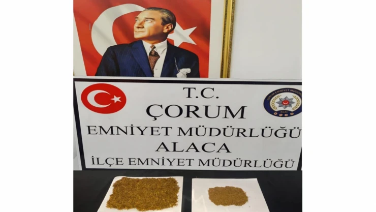 Çorum'da Uyuşturucu Operasyonu: 1 Tutuklama