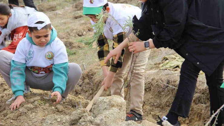 Yüzlerce Ihlamur Ve Lavanta Fidanı Toprakla Buluştu