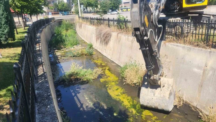 Çorum'daki Derelerde Temizlik Çalışmaları Sürüyor