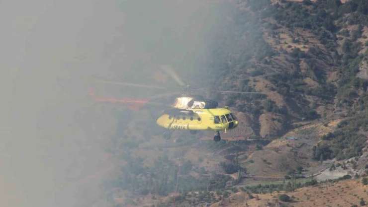 Çorum'daki Orman Yangını Kontrol Altına Alındı