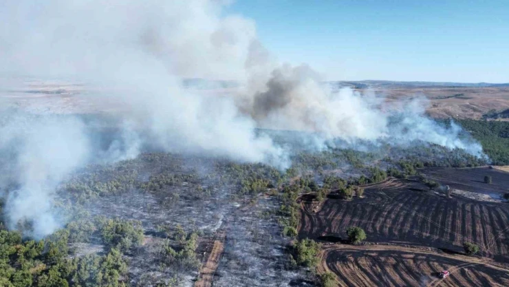 70 Bin Dönümden Fazla Alan Zarar Gördü