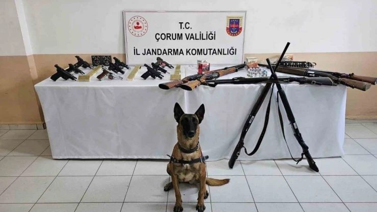 Çorum Jandarmasından 'Düğün Magandaları'na Operasyon : 11 Gözaltı