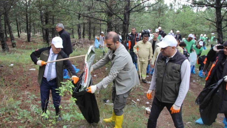 Çorum Valisi Dağlı: 'Ormanlarımızı Koruyalım'