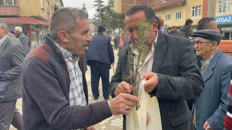 İhsangazi'de 4 Bin Ağaç Fidanı Dağıtıldı