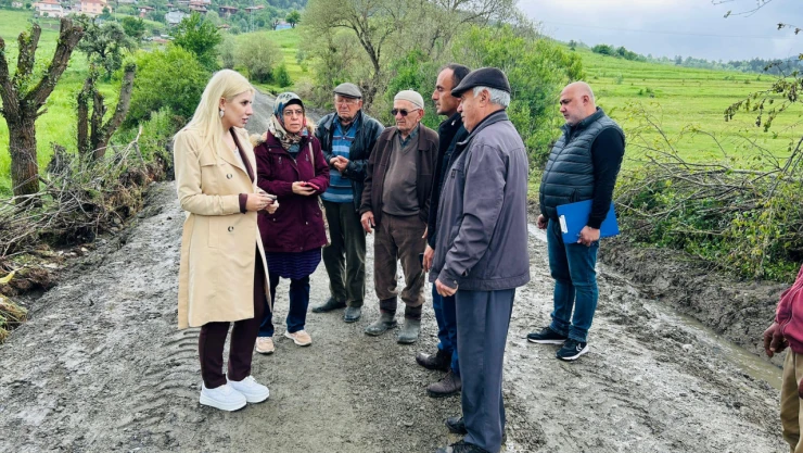 Daday'daki son durumu incelediler