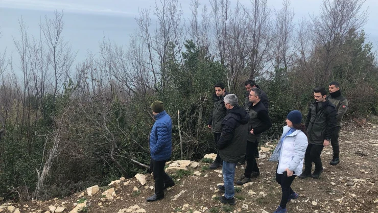 Defne rehabilitasyon çalışmalarını incelediler