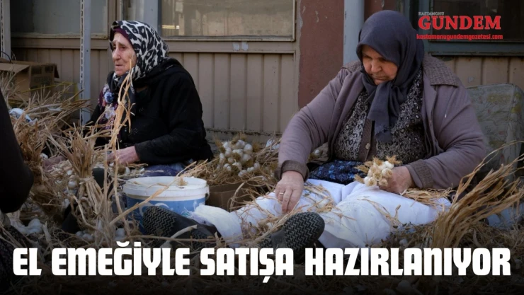 Demetler Halinde Satışa Hazır Hale Getiriliyor